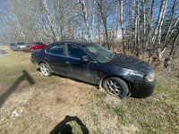 2003 Acura (Project Vehicle)